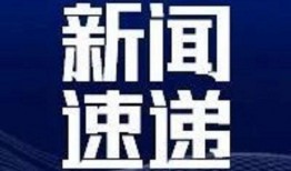 鲁美最新爆料新闻,揭秘娱乐圈惊人内幕