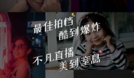 晓慧爆料视频大全最新章节,揭秘娱乐圈不为人知的秘密